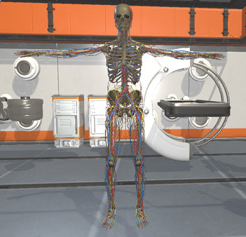 外科三维骨骼 Surgical Study and 3D Skeletons for Medical School Students2292 作者:admin 帖子ID:2497 3D骨骼,3d骨骼模型,3d骨骼绑定,3d骨骼软件,3d怎么删除骨骼