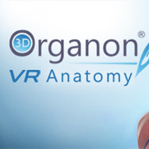 [Oculus quest]3D Organon VR 人体解剖学(3D Organon VR Anatomy 2021)5014 作者:admin 帖子ID:4425 