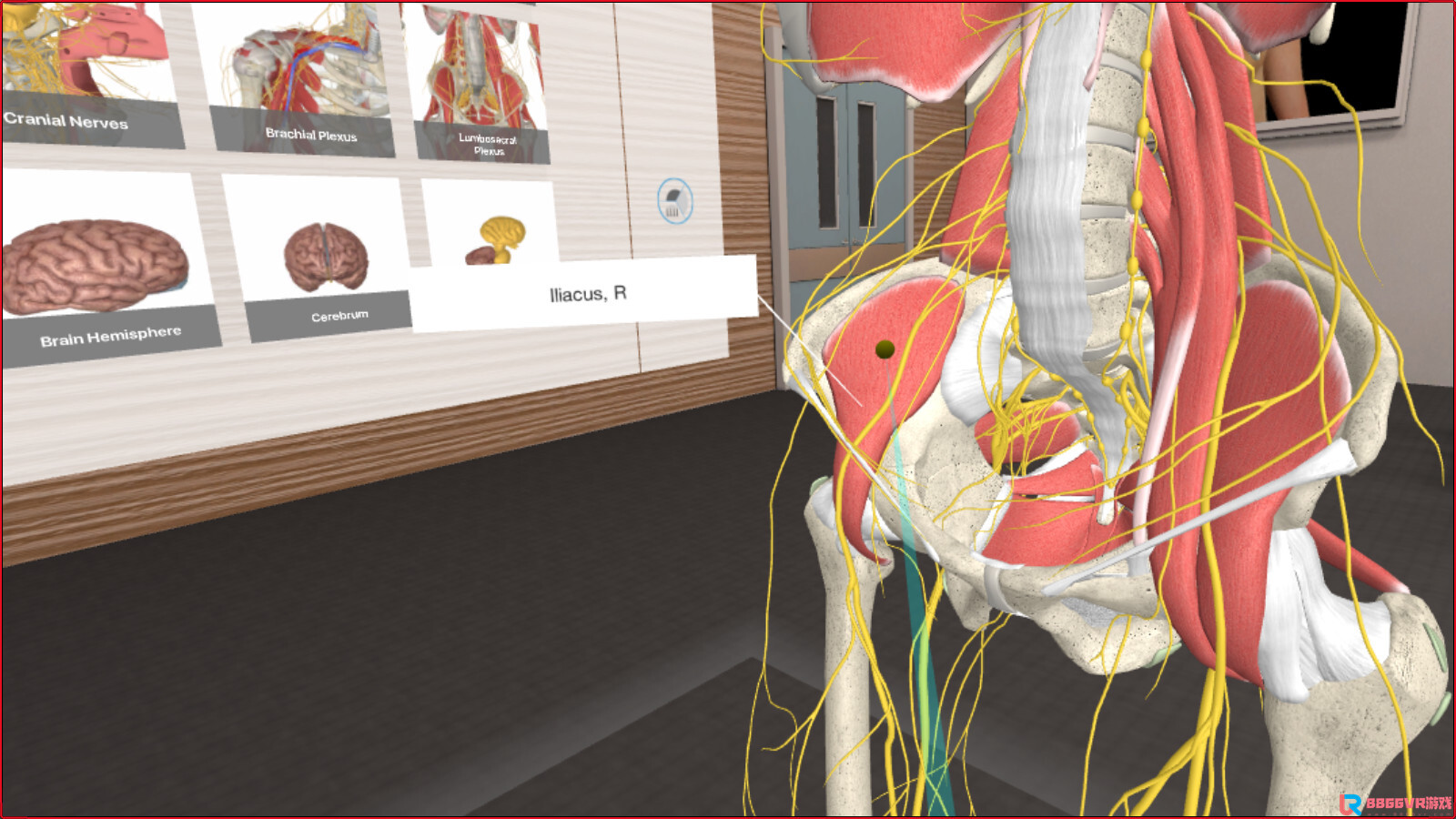 [Oculus quest]3D Organon VR 人体解剖学(3D Organon VR Anatomy 2021)8741 作者:admin 帖子ID:4425 
