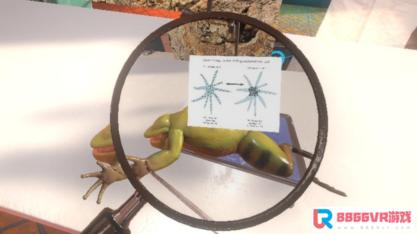 [VR交流学习] 解剖模拟器:青蛙 (Dissection Simulator: Frog Edition)4017 作者:admin 帖子ID:1772 交流学习,解剖,模拟器,青蛙,dissection