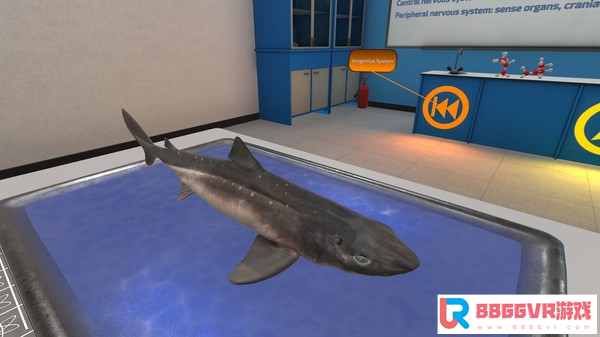[VR交流学习]解剖模拟器：狗鲨 (Dissection Simulator: Dogfish Edition)7025 作者:admin 帖子ID:2644 