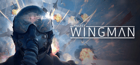 [VR游戏下载] 皇牌空战 VR（Project Wingman）官方中文9014 作者:admin 帖子ID:3205 