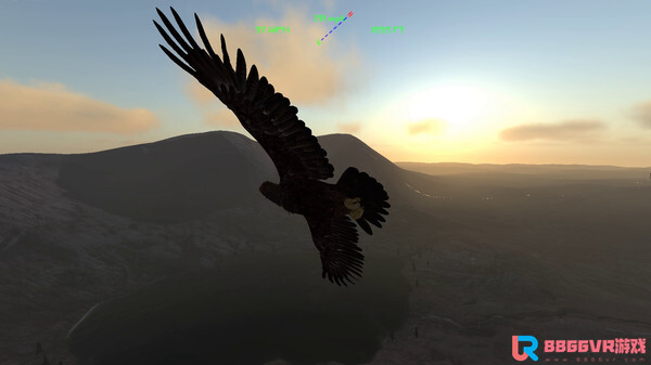 [VR游戏下载] 雄鹰飞行模拟器 (Aquila Bird Flight Simulator)1323 作者:蜡笔小猪 帖子ID:906 飞行模拟器,模拟器,bird