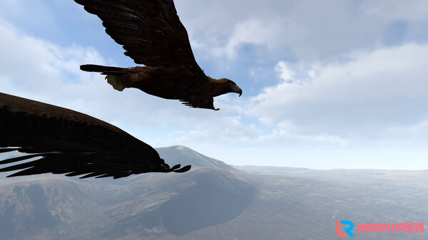 [VR游戏下载] 雄鹰飞行模拟器 (Aquila Bird Flight Simulator)7865 作者:蜡笔小猪 帖子ID:906 飞行模拟器,模拟器,bird