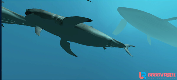 [VR游戏下载] VR鲨鱼（VR Shark）6360 作者:admin 帖子ID:3616 