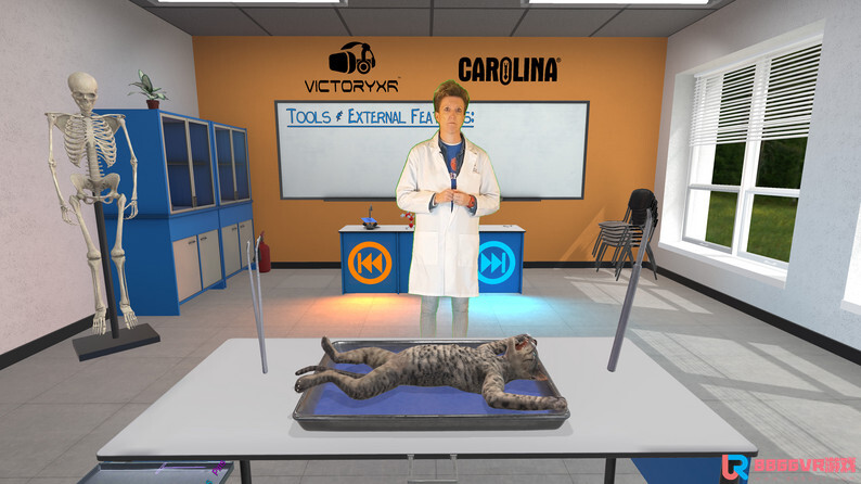 [Oculus quest] 解剖猫科动物 VR（Cat Dissection）7824 作者:admin 帖子ID:4361 