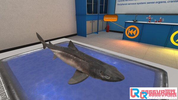 [Oculus quest] 解剖鲨鱼（VictoryXR）8167 作者:admin 帖子ID:4362 