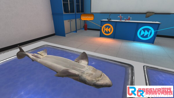 [Oculus quest] 解剖鲨鱼（VictoryXR）795 作者:admin 帖子ID:4362 