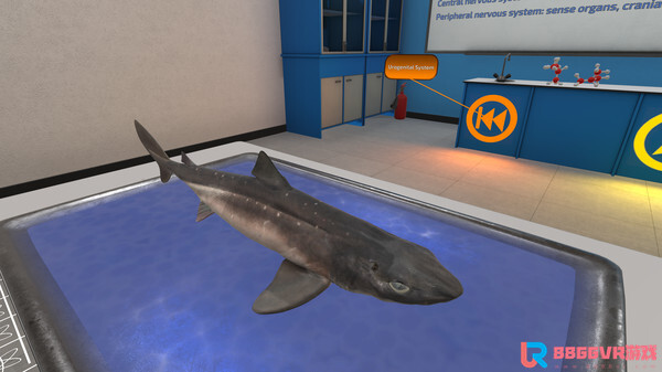 [Oculus quest] 解剖鲨鱼（VictoryXR）2277 作者:admin 帖子ID:4362 