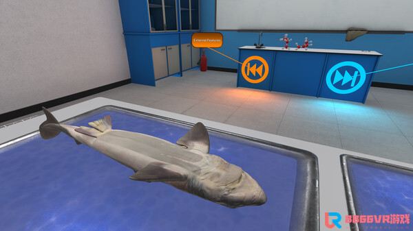 [Oculus quest] 解剖鲨鱼（VictoryXR）6137 作者:admin 帖子ID:4362 