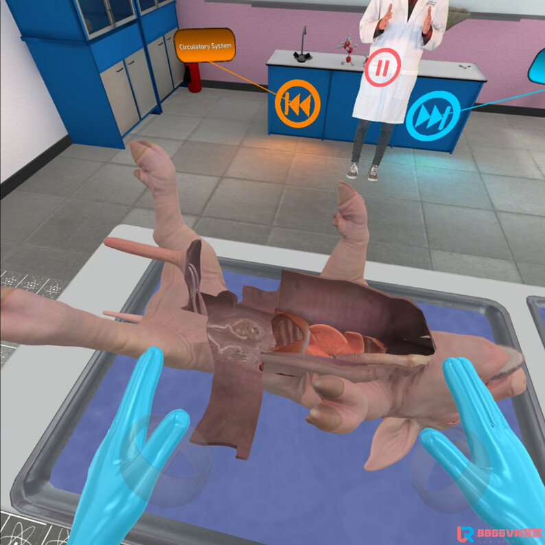[Oculus quest] 解剖家猪 VR (VR Pig Dissection: Hoggin’ the Scalpel)7831 作者:admin 帖子ID:4363 