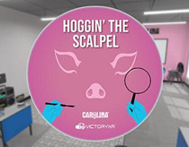 [Oculus quest] 解剖家猪 VR (VR Pig Dissection: Hoggin’ the Scalpel)8152 作者:admin 帖子ID:4363 