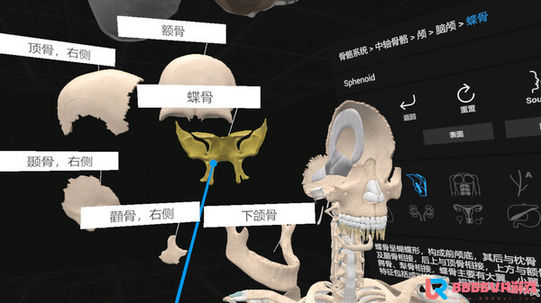 [VR游戏下载] 认识人体解剖 VR（Everyday Anatomy VR）967 作者:admin 帖子ID:4393 