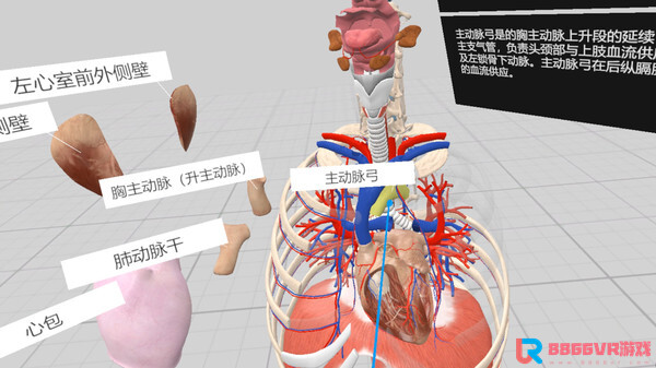 [VR游戏下载] 认识人体解剖 VR（Everyday Anatomy VR）5667 作者:admin 帖子ID:4393 