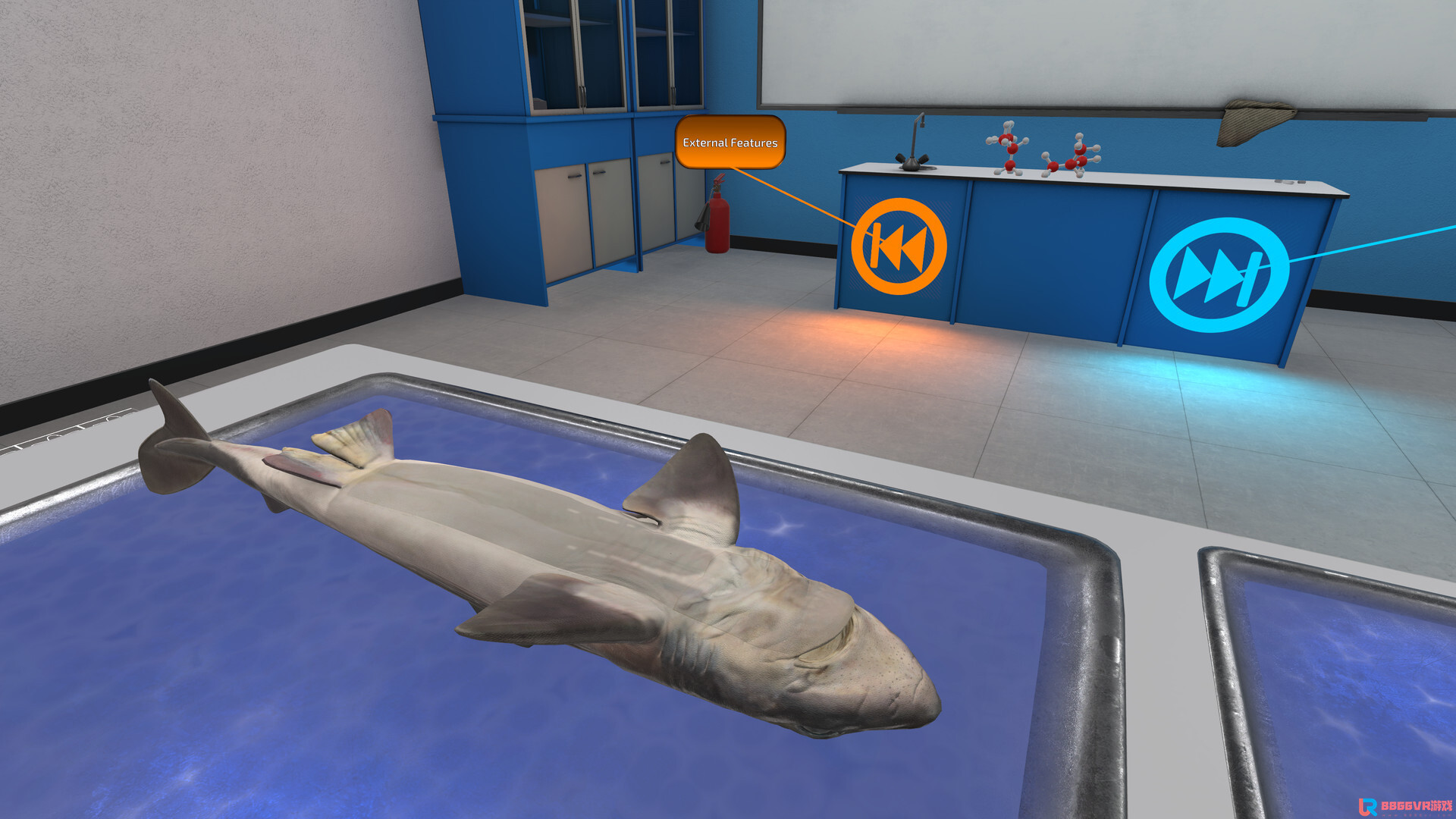 [Oculus quest] 解剖模拟器：角鲨版（Dissection Simulator: Dogfish Ed...6074 作者:yuanzi888 帖子ID:4866 