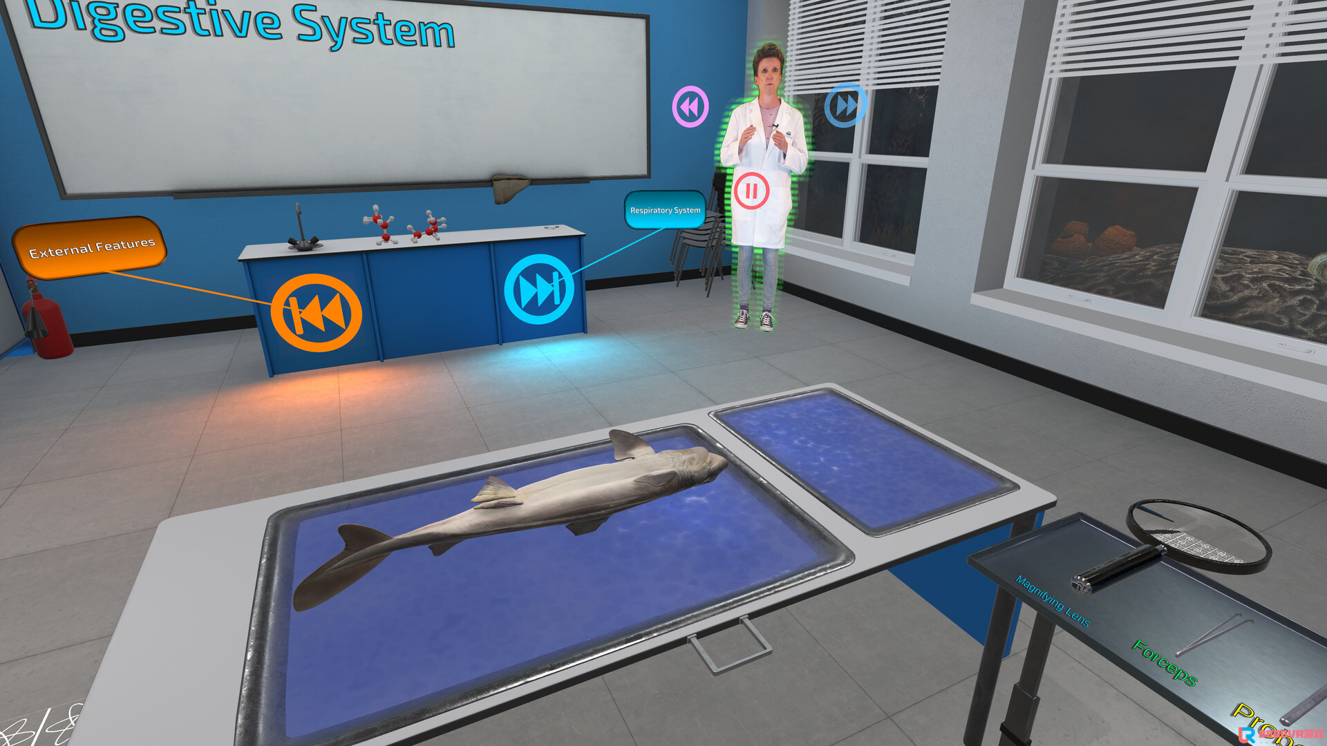 [Oculus quest] 解剖模拟器：角鲨版（Dissection Simulator: Dogfish Ed...6551 作者:yuanzi888 帖子ID:4866 