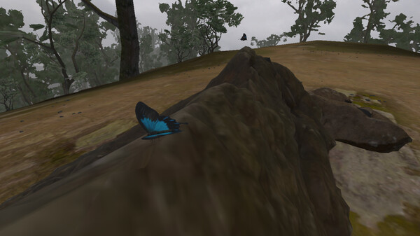 [VR游戏下载] 鳞翅目 昆虫观察（Lepidoptera）9596 作者:admin 帖子ID:5839 
