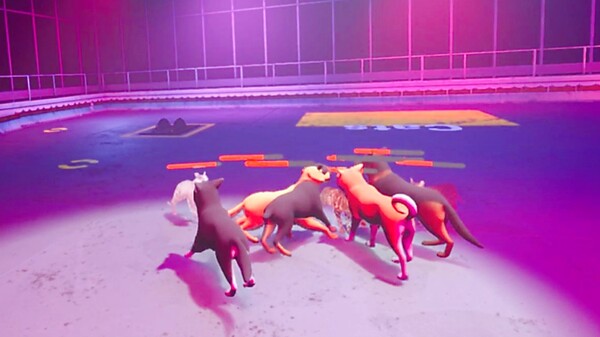 [VR游戏]爪牙对决：猫狗*斗（Claw Clash Cat vs Dog Betting）7985 作者:admin 帖子ID:6101 